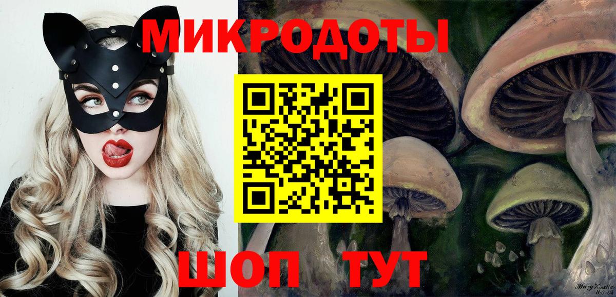 Галлюциногенные грибы Psilocybine cubensis  Вход с VPN  Котовск 